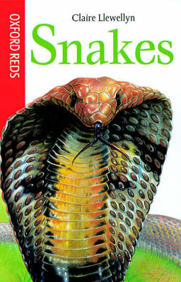 Cover of Snakes