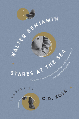 Book cover for Walter Benjamin Stares at the Sea