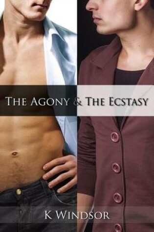 Cover of The Agony & the Ecstasy