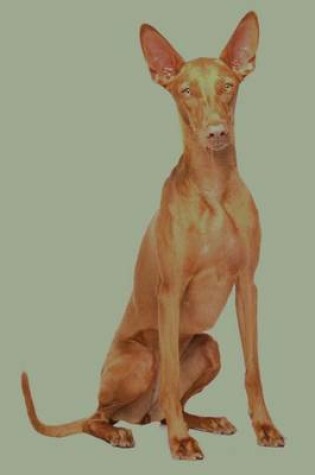 Cover of Pharaoh Hound