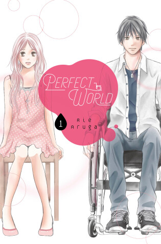 Cover of Perfect World 1