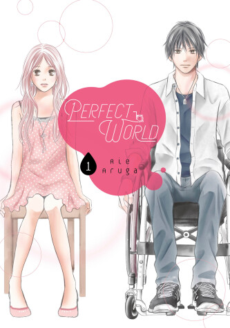 Book cover for Perfect World 1