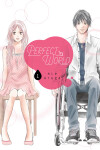 Book cover for Perfect World 1