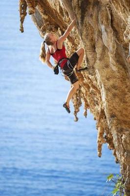 Book cover for Female Rock Climber Journal