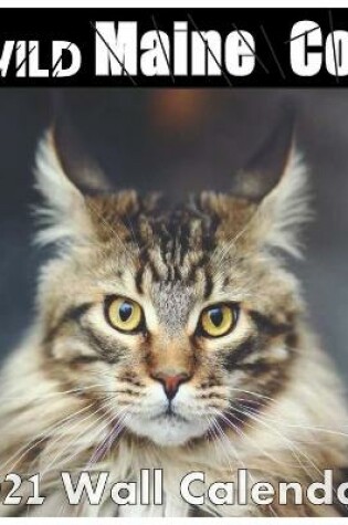 Cover of Maine Coon calendar 2021