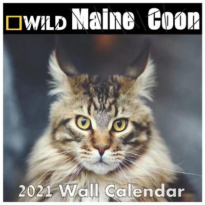 Book cover for Maine Coon calendar 2021