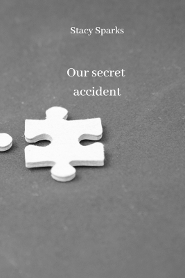 Book cover for Our secret accident