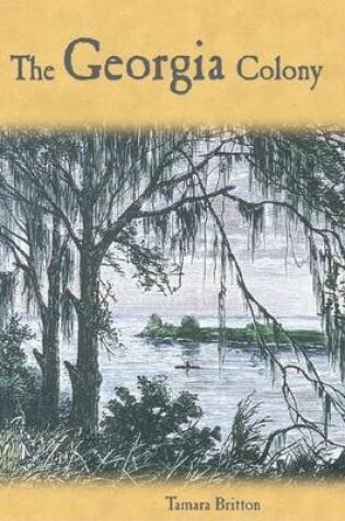 Cover of Georgia Colony eBook