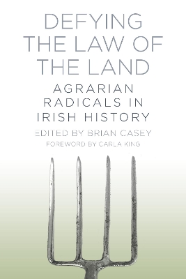 Book cover for Defying the Law of the Land