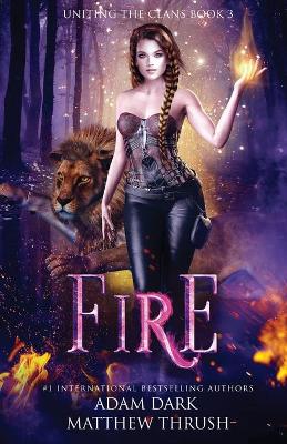 Book cover for Fire