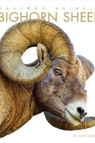 Cover of Amazing Animals: Bighorn Sheep