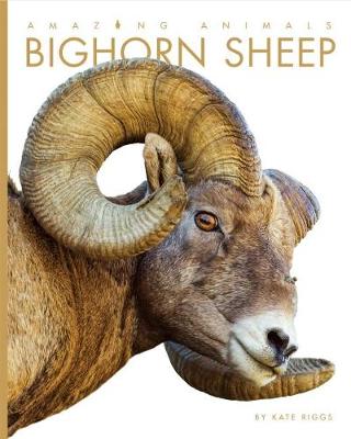 Book cover for Amazing Animals: Bighorn Sheep
