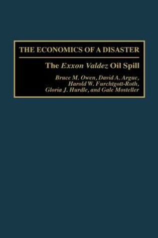 Cover of The Economics of a Disaster