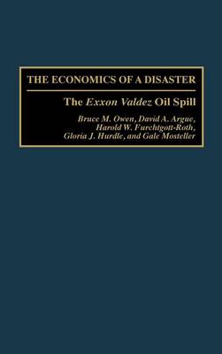Book cover for The Economics of a Disaster