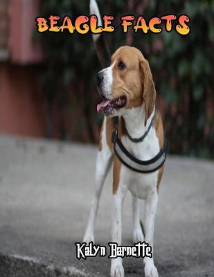 Book cover for Beagle Facts