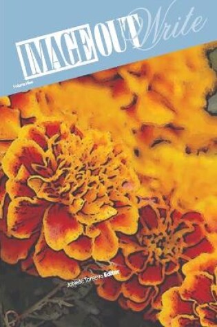 Cover of ImageOutWrite