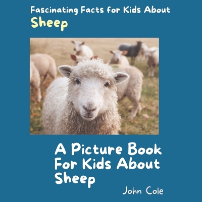 Cover of A Picture Book for Kids About Sheep