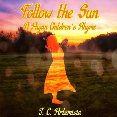 Book cover for Follow the Sun