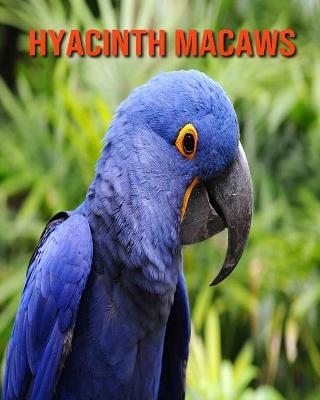 Book cover for Hyacinth Macaws