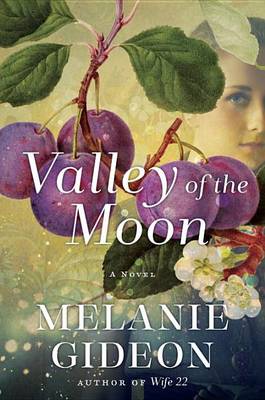 Book cover for Valley of the Moon