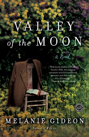 Book cover for Valley of the Moon