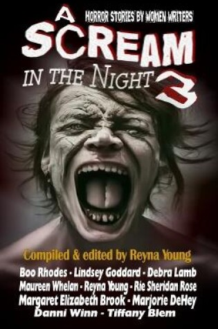 Cover of A Scream in the Night 3