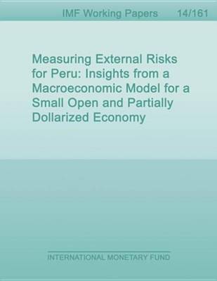 Book cover for Measuring External Risks for Peru