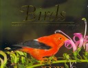 Book cover for Birds