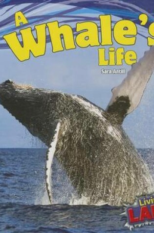 Cover of A Whale's Life