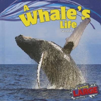 Book cover for A Whale's Life