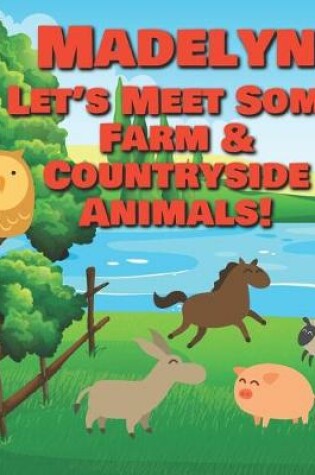 Cover of Madelyn Let's Meet Some Farm & Countryside Animals!