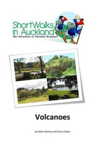 Cover of Volcanoes