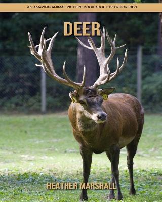 Book cover for Deer