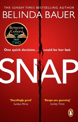 Book cover for Snap