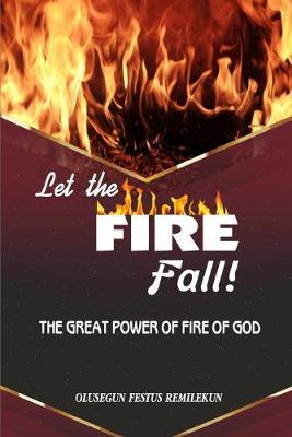 Book cover for Let the Fire Fall