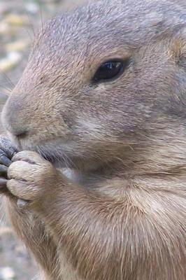 Book cover for Prairie Dog Having a Snack Journal