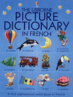 Book cover for Usborne Picture Dictionary in French