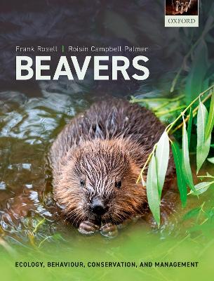 Book cover for Beavers