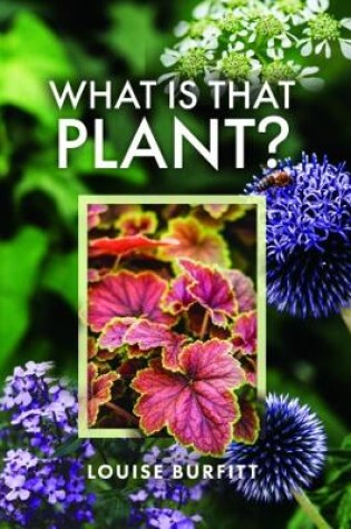 Cover of What is that Plant?