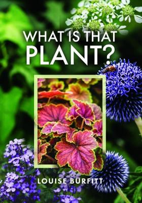 Book cover for What is that Plant?