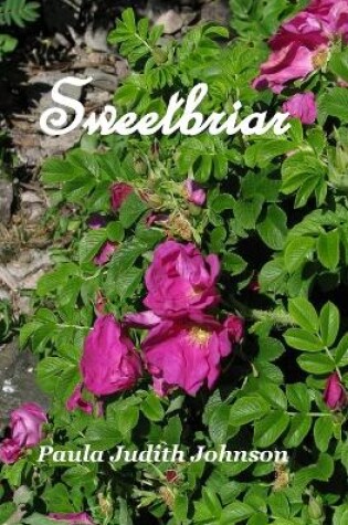 Cover of Sweetbriar