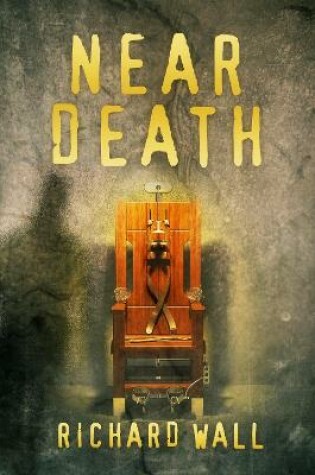 Cover of Near Death