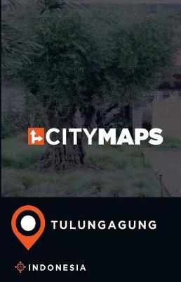 Book cover for City Maps Tulungagung Indonesia