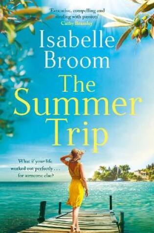 Cover of The Summer Trip
