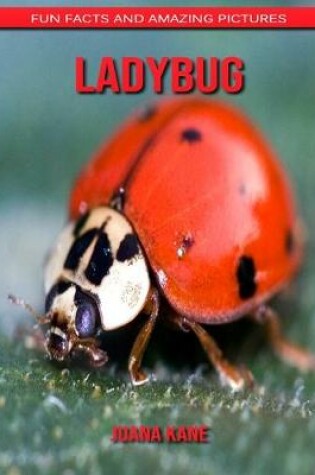 Cover of Ladybug