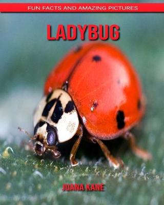 Book cover for Ladybug