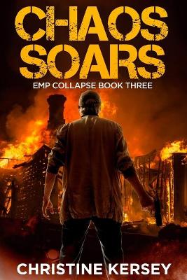 Book cover for Chaos Soars