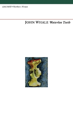 Book cover for Waterloo Teeth