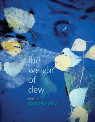 Book cover for The Weight of Dew