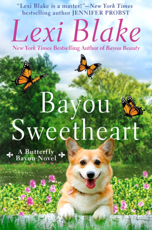 Cover of Bayou Sweetheart